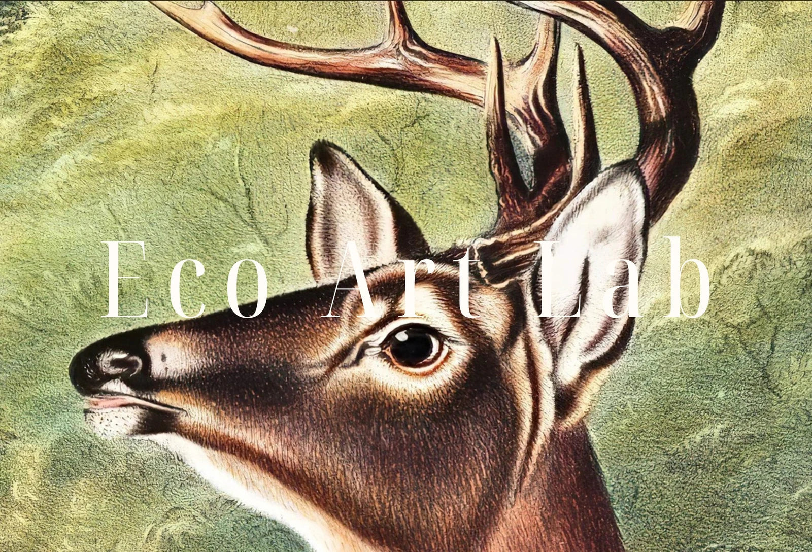 Detail view of artwork from Samsung Frame TV Art 4K White-tailed Deer Vintage Painting. Instant Download Nature Animal Art for Samsung Frame TV. Deer Art for TV. (variation 1)
