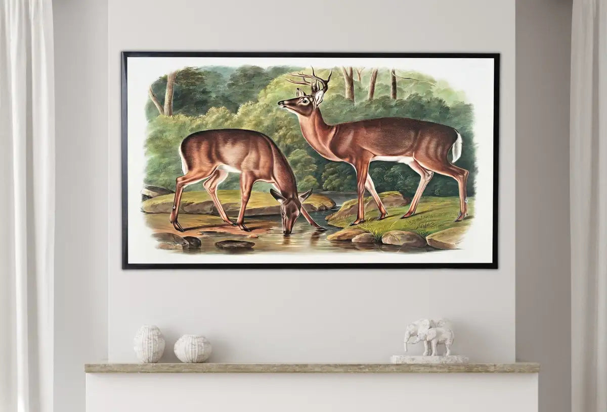 Detail view of artwork from Samsung Frame TV Art 4K White-tailed Deer Vintage Painting. Instant Download Nature Animal Art for Samsung Frame TV. Deer Art for TV. (variation 2)