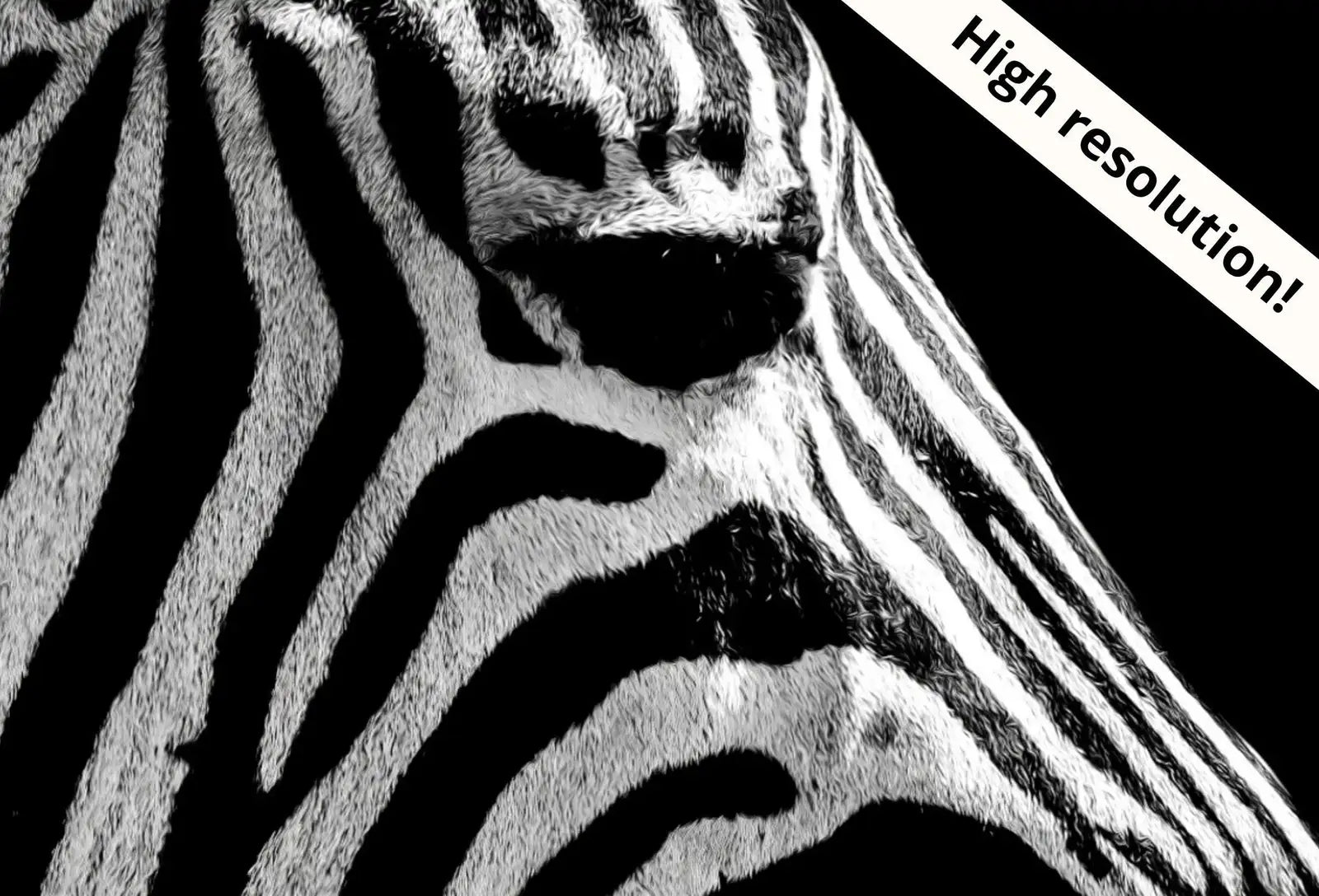 Detail view of artwork from Samsung Frame TV Art 4K Zebra Black and White Digital Painting. Instant Download Zebra Art for the Samsung Frame TV. Art for TV, Zebra decor. (variation 1)