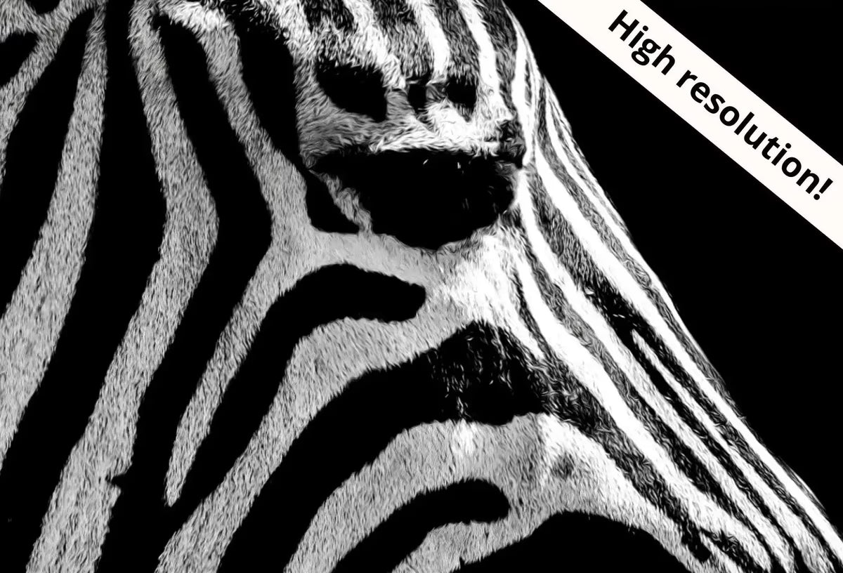 Samsung Frame TV Art 4K Zebra Black and White Digital Painting. Instant Download Zebra Art for the Samsung Frame TV. Art for TV, Zebra decor – Frame TV  Art