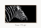 Samsung Frame TV Art 4K Zebra Black and White Digital Painting. Instant Download Zebra Art for the Samsung Frame TV. Art for TV, Zebra decor – Frame TV  Art