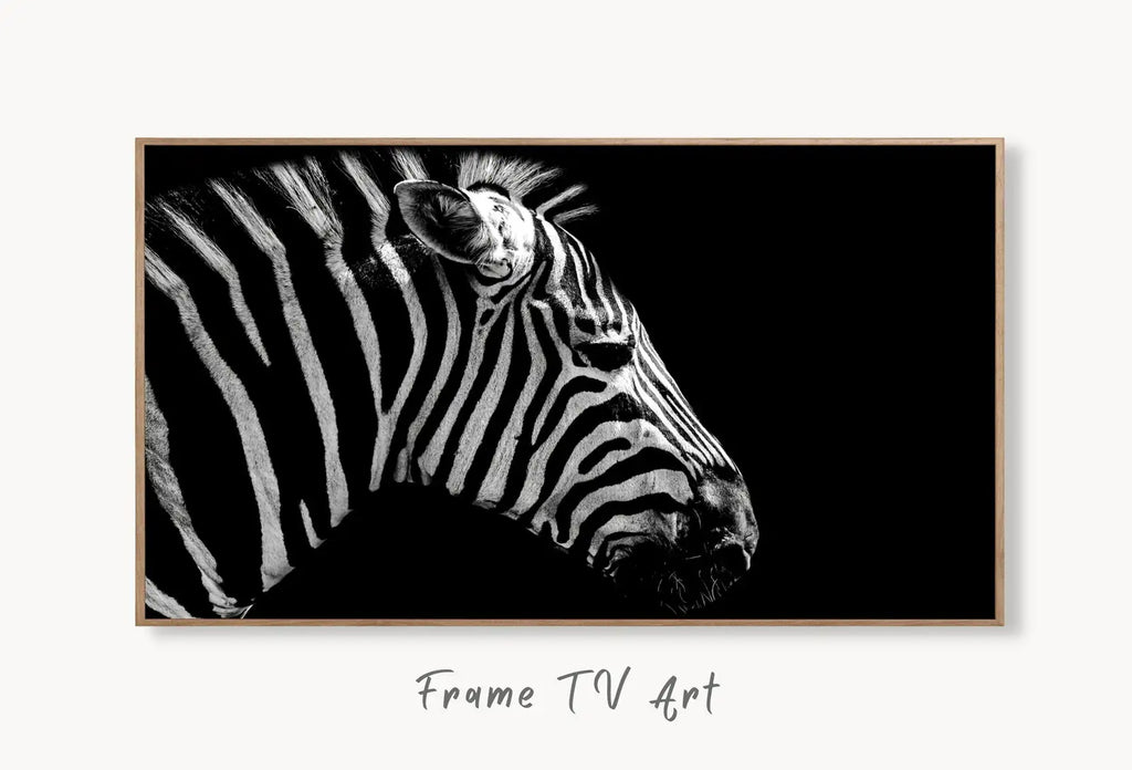 Samsung Frame TV Art 4K Zebra Black and White Digital Painting. Instant Download Zebra Art for the Samsung Frame TV. Art for TV, Zebra decor displayed on Samsung Frame TV on a living room wall.