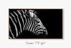 Samsung Frame TV Art 4K Zebra Black and White Digital Painting. Instant Download Zebra Art for the Samsung Frame TV. Art for TV, Zebra decor displayed on Samsung Frame TV on a living room wall.