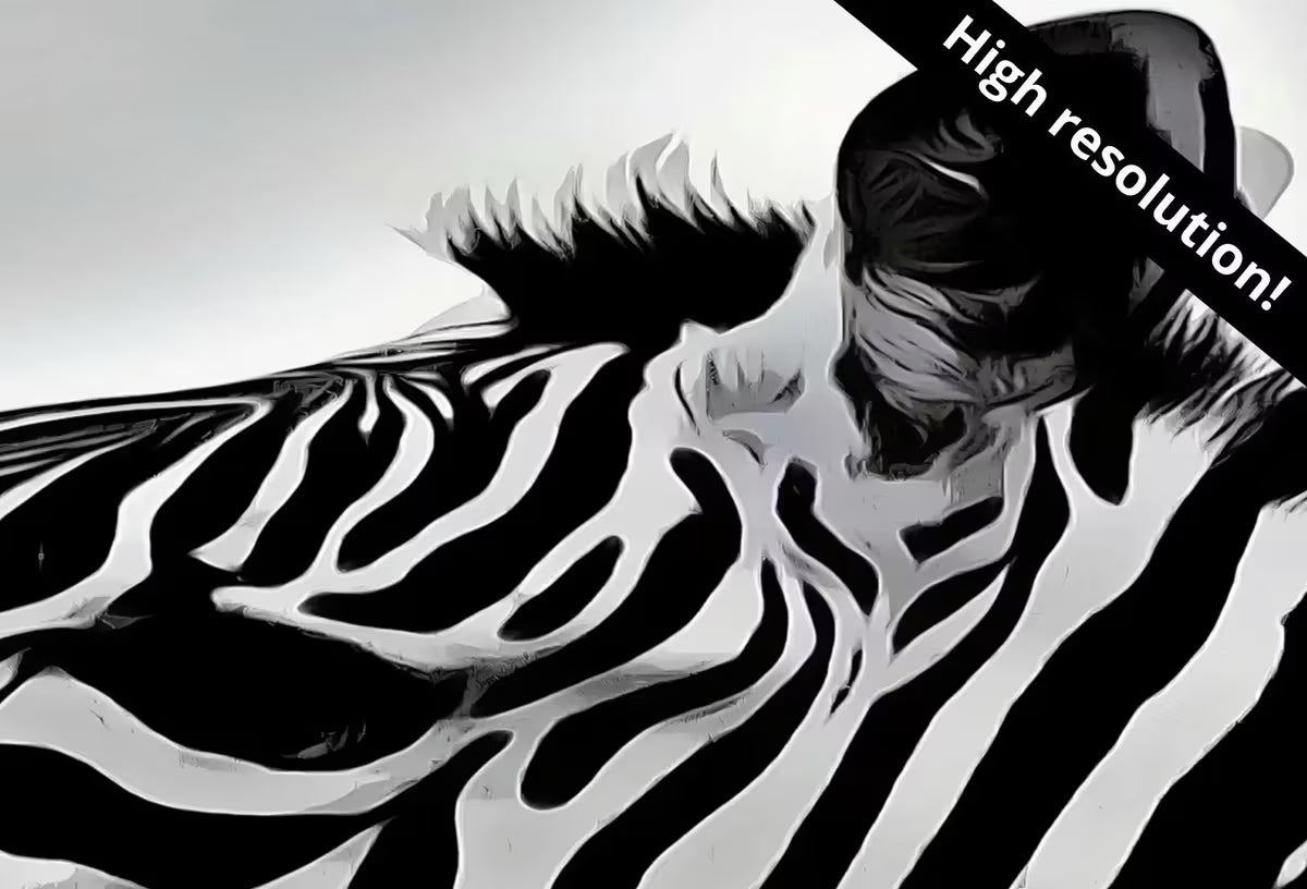 Samsung Frame TV Art 4K Zebra Love Black and White Digital Painting. Instant Download Zebra Art for the Samsung Frame TV. Art for TV – Frame TV  Art