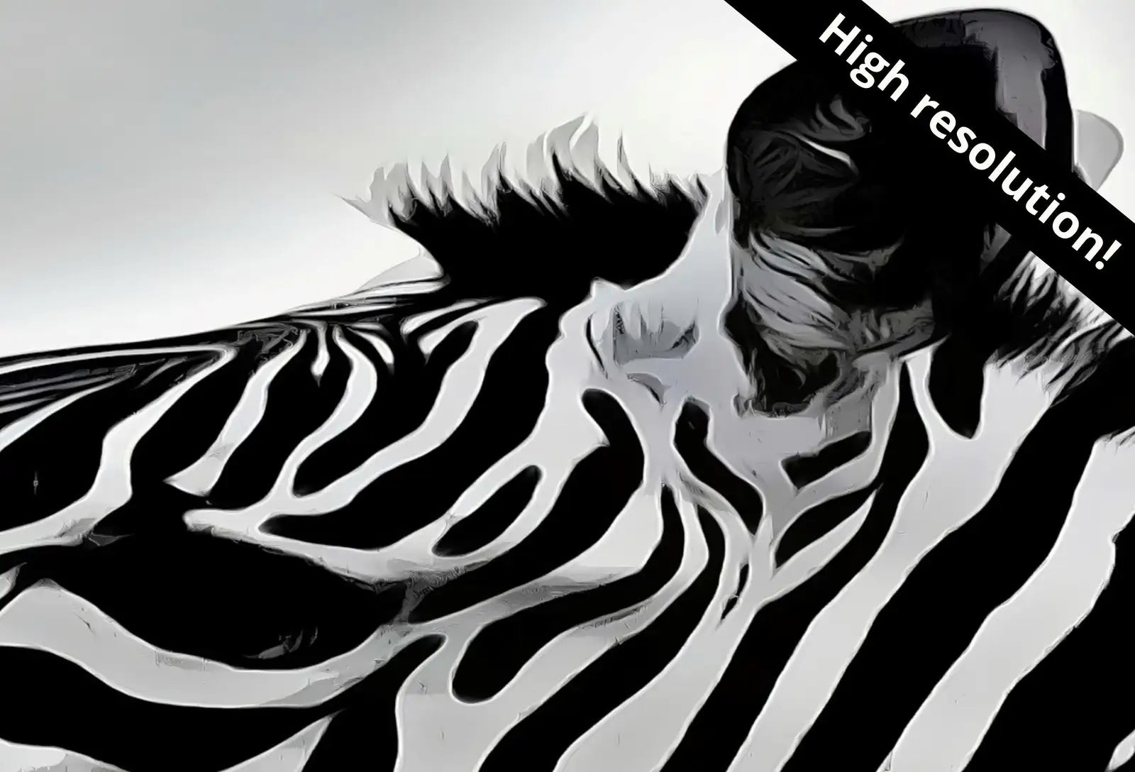 Samsung Frame TV Art 4K Zebra Love Black and White Digital Painting. Instant Download Zebra Art for the Samsung Frame TV. Art for TV – Frame TV Digital Download Art – Digital Download