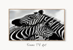 Samsung Frame TV Art 4K Zebra Love Black and White Digital Painting. Instant Download Zebra Art for the Samsung Frame TV. Art for TV – Frame TV Digital Download Art – Digital Download