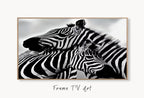 Samsung Frame TV Art 4K Zebra Love Black and White Digital Painting. Instant Download Zebra Art for the Samsung Frame TV. Art for TV – Frame TV  Art