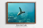 Framed view of Sea Turtle Wall Art Ocean Wall Decor. Instant Download Printable Wall Art. Beach Coastal Wall Art. Nautical Wall Decor. Animal Art. – printable wall art digital download.