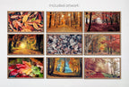 Set of 15 Samsung Frame TV 4K Art. Fall Wall Art Nature Digital Collection. Autumn Decor TV Art Set. Instant Download Frame TV Art. – Frame TV Art Set (Digital Download) – Digital Download