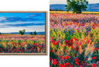Set of 15 Samsung Frame TV 4K Art. Spring Wall Art