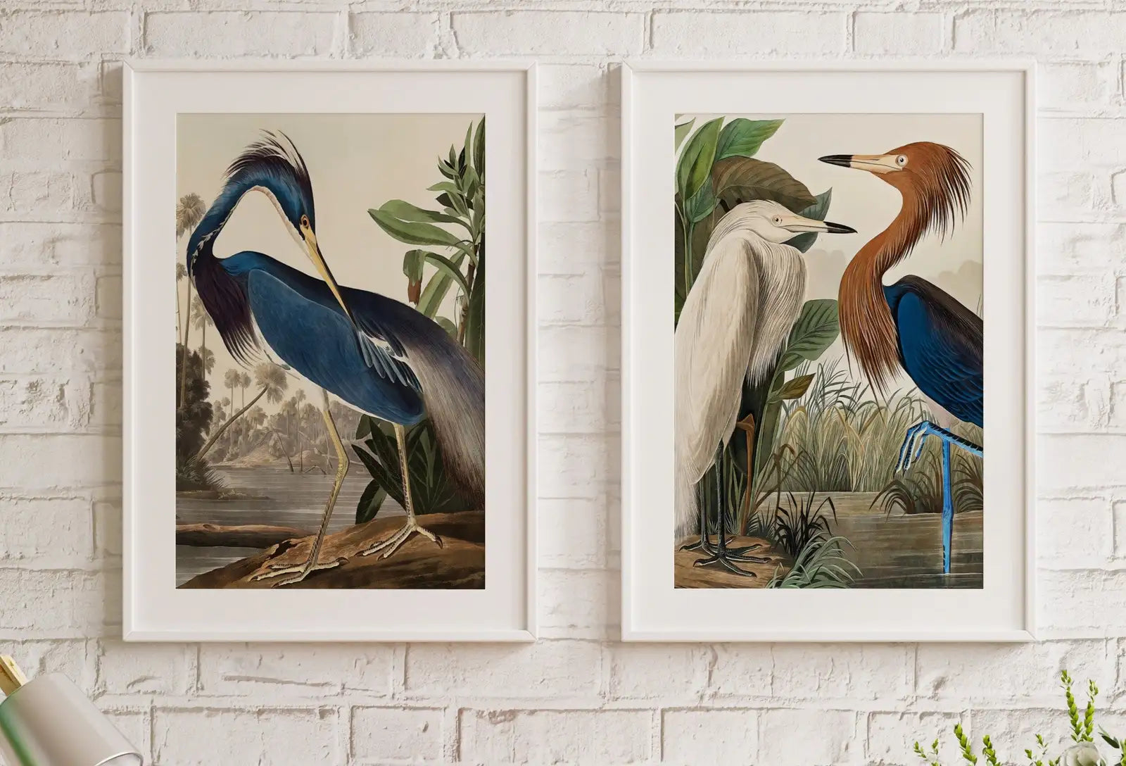 Ensemble de 2 impressions, hérons vintage, oiseaux tropicaux. Nature sauvage colorée, ensemble de 2 œuvres d’art mural. Impressions d’art fin. Téléchargement instantané. Art à imprimer