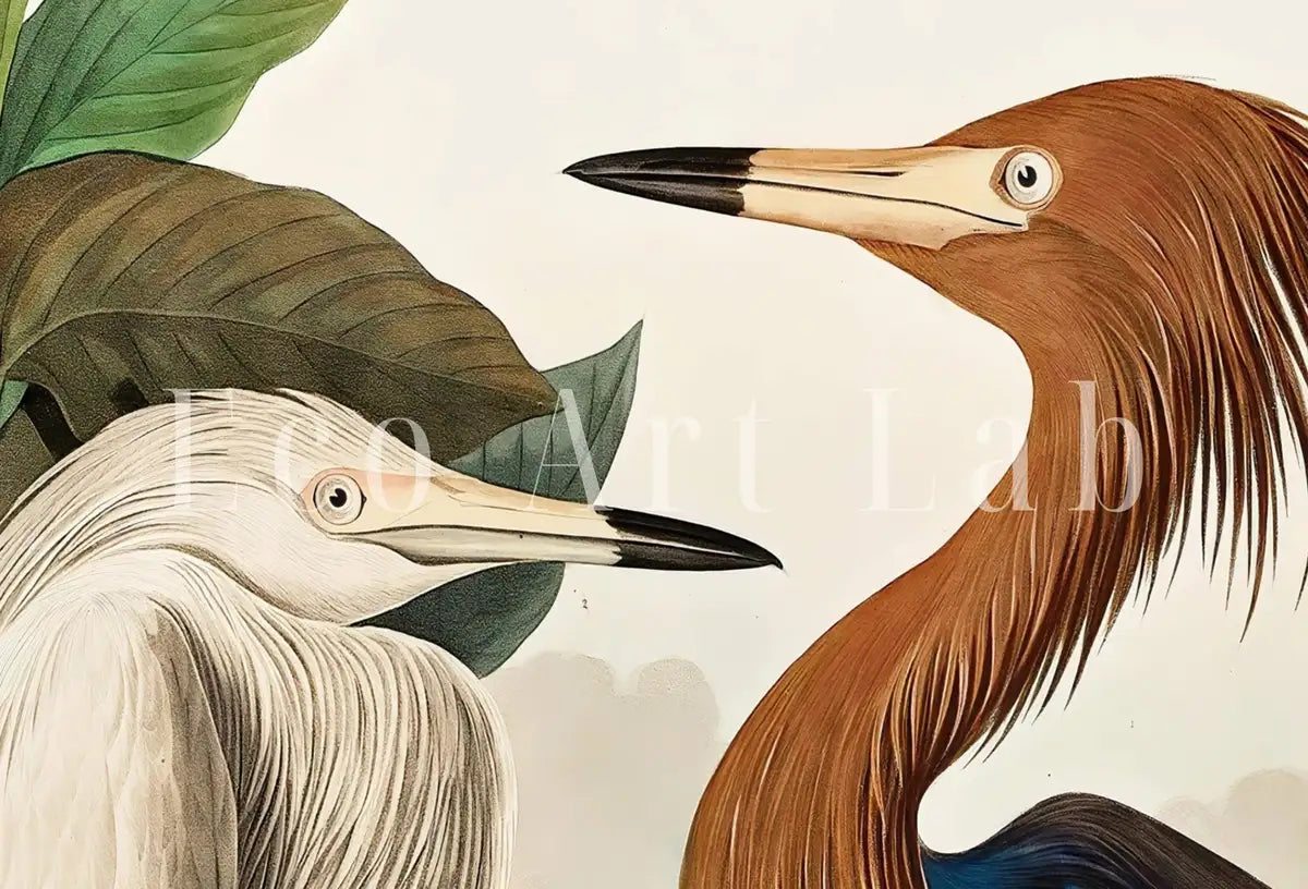 Ensemble de 2 impressions, hérons vintage, oiseaux tropicaux. Nature sauvage colorée, ensemble de 2 œuvres d’art mural. Impressions d’art fin. Téléchargement instantané. Art à imprimer