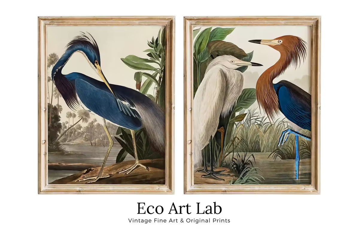 Set of 2 Prints Herons Vintage Tropical Birds. Wildlife Nature Colorful 2 Piece Wall Art. Fine Art Prints. Instant Download. Printable Art – Printable Wall Art Set