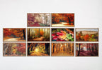Set of 25 Samsung Frame TV 4K Art. Fall Wall Art Nature Digital Collection. Autumn Decor TV Art Set. Instant Download Frame TV Art. – Frame TV Art Set