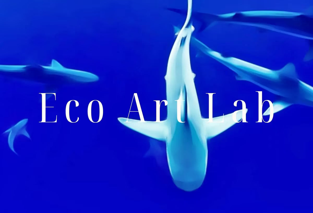 Sharks in Deep Blue Water Frame TV Art , Art for Tv, Ocean Wall Art Colorful Art for Frame TV – Frame TV  Art