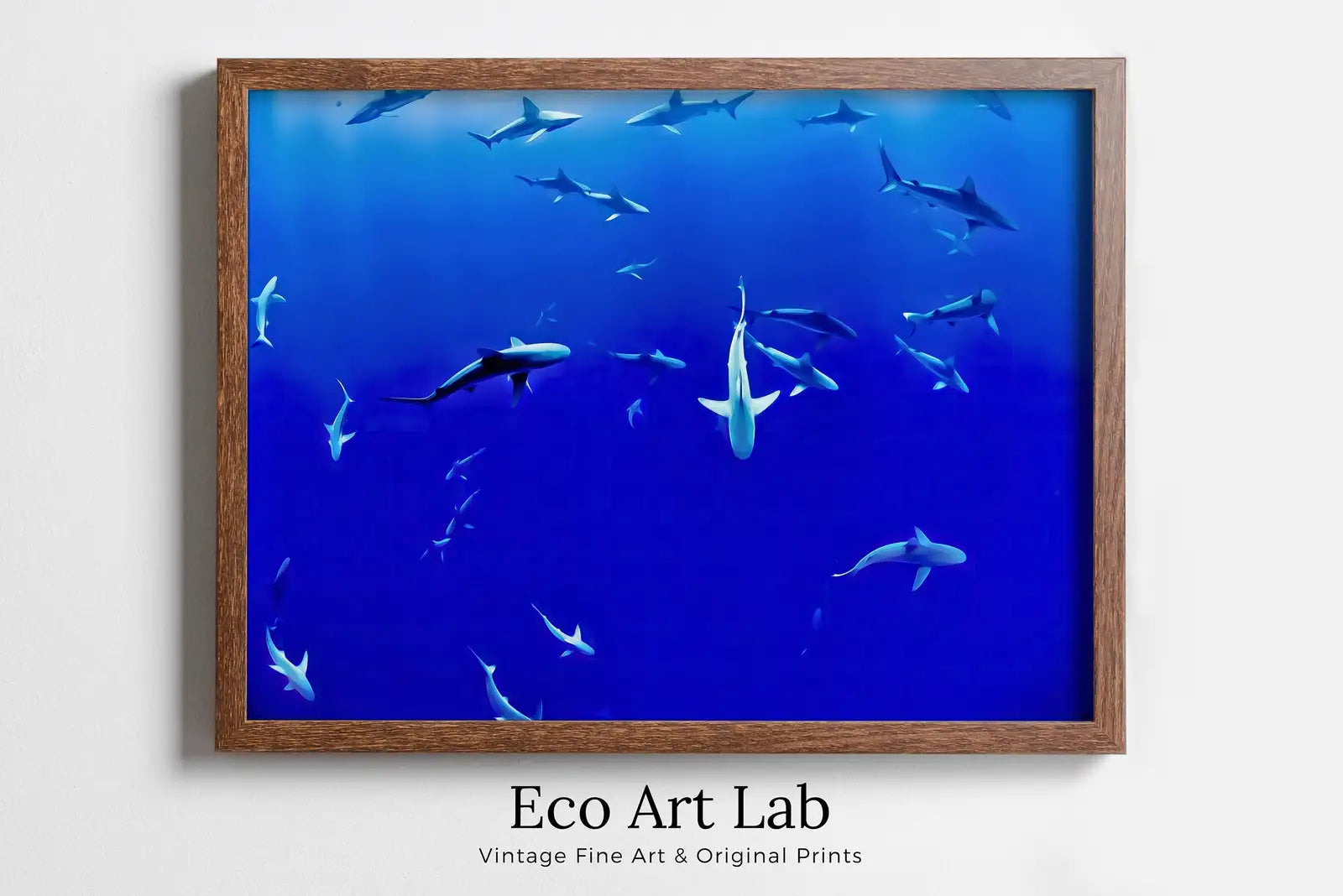 Framed view of Sharks in Deep Blue Water Instant Download Shark Wall Art Poster. Horizontal Printable Wall Art Shark Decor. Nature Wall Art Nautical Decor – printable wall art digital download.