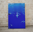 Sharks in Deep Blue Water Instant Download Shark Wall Art Poster. Printable Wall Art Shark Decor. Nature Wall Art Nautical Home Decor – Printable Wall Art