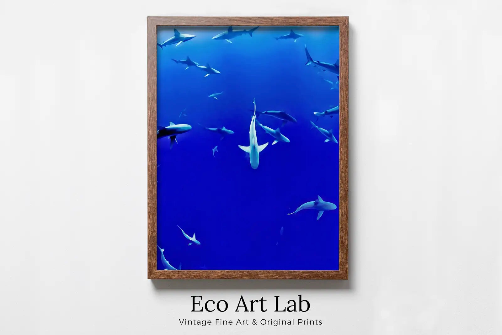 Framed view of Sharks in Deep Blue Water Instant Download Shark Wall Art Poster. Printable Wall Art Shark Decor. Nature Wall Art Nautical Home Decor – printable wall art digital download.