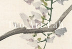 Detail view of artwork from Sparrow Perched On a Branch. Vintage Japanese Painting. Japanese Wall Art Printable Poster. 19th Century Japanese Vintage Wall Art, Bird Art. (variation 1)