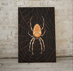 Second included artwork preview from Spider Painting Vintage Art Nouveau Print Wall Art. Instant Download Spider Poster Julie De Graag Printable Wall Art. Art Nouveau Poster featuring various scenes.