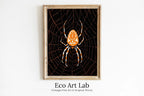 Framed view of Spider Painting Vintage Art Nouveau Print Wall Art. Instant Download Spider Poster Julie De Graag Printable Wall Art. Art Nouveau Poster – printable wall art digital download.