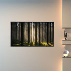 Sunlight Forest Art For Frame TV. Dense Green 4K Nature Scene. Outdoor Landscape Digital Artwork – Frame TV Digital Download Art – Digital Download