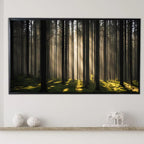 Sunlight Forest Art For Frame TV. Dense Green 4K Nature Scene. Outdoor Landscape Digital Artwork – Frame TV  Art