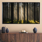 Sunlight Forest Art For Frame TV. Dense Green 4K Nature Scene. Outdoor Landscape Digital Artwork – Frame TV Digital Download Art – Digital Download