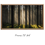Sunlight Forest Art For Frame TV. Dense Green 4K Nature Scene. Outdoor Landscape Digital Artwork – Frame TV Digital Download Art – Digital Download