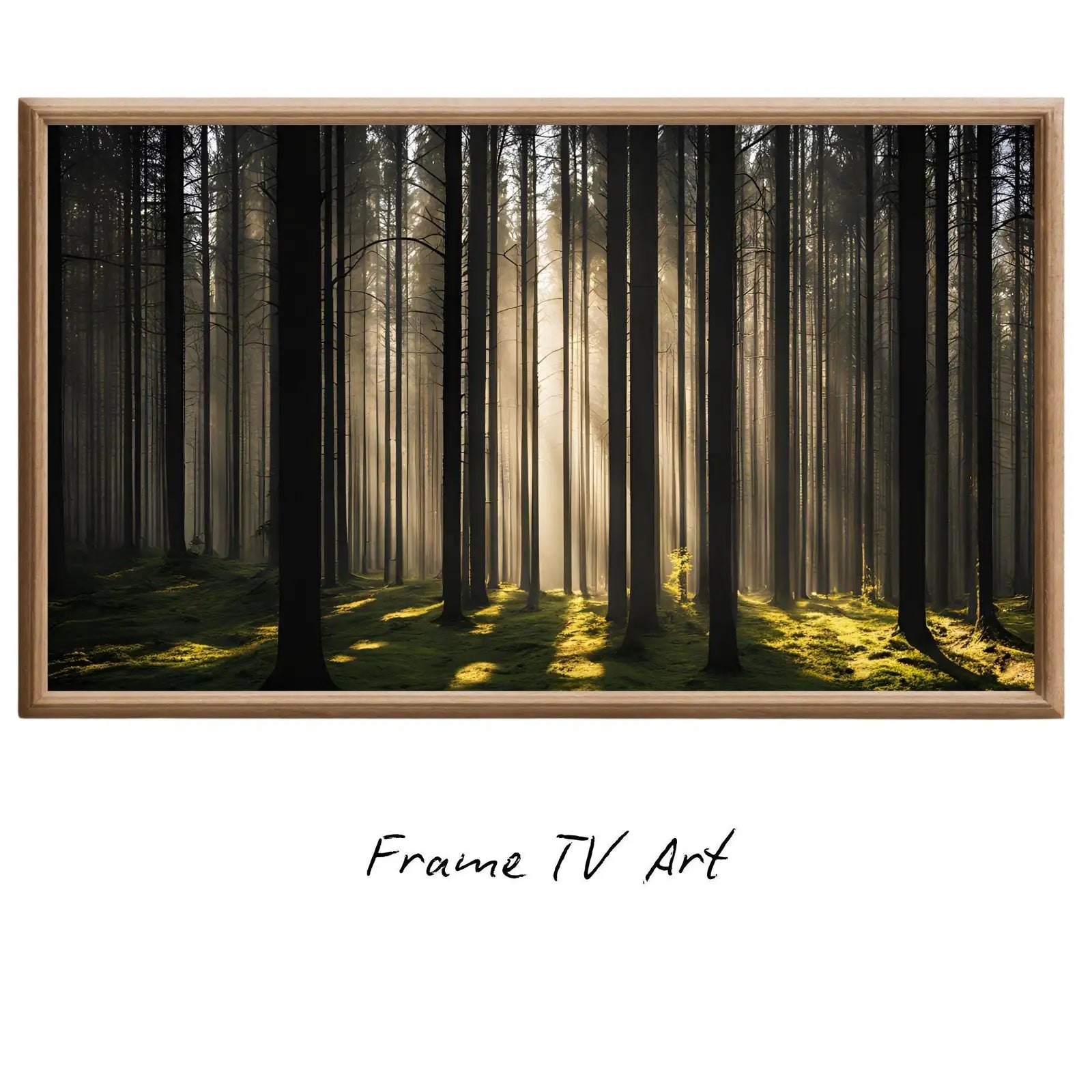Sunlight Forest Art For Frame TV. Dense Green 4K Nature Scene. Outdoor Landscape Digital Artwork – Frame TV Digital Download Art – Digital Download