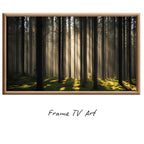 Sunlight Forest Art For Frame TV. Dense Green 4K Nature Scene. Outdoor Landscape Digital Artwork – Frame TV  Art