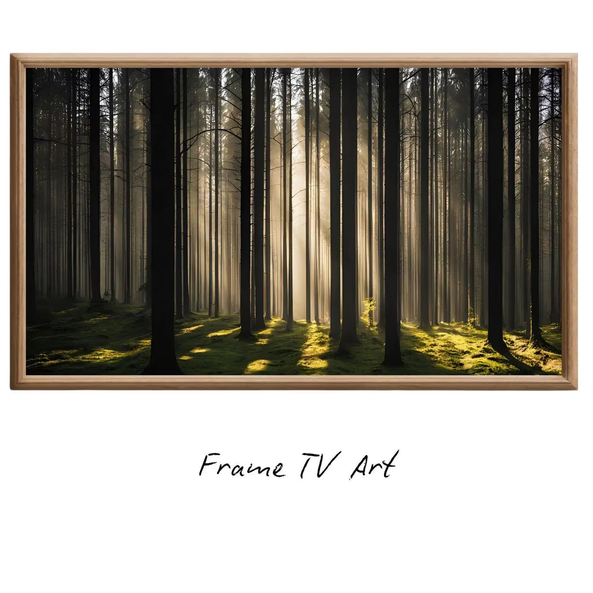 Sunlight Forest Art For Frame TV. Dense Green 4K Nature Scene. Outdoor Landscape Digital Artwork – Frame TV  Art