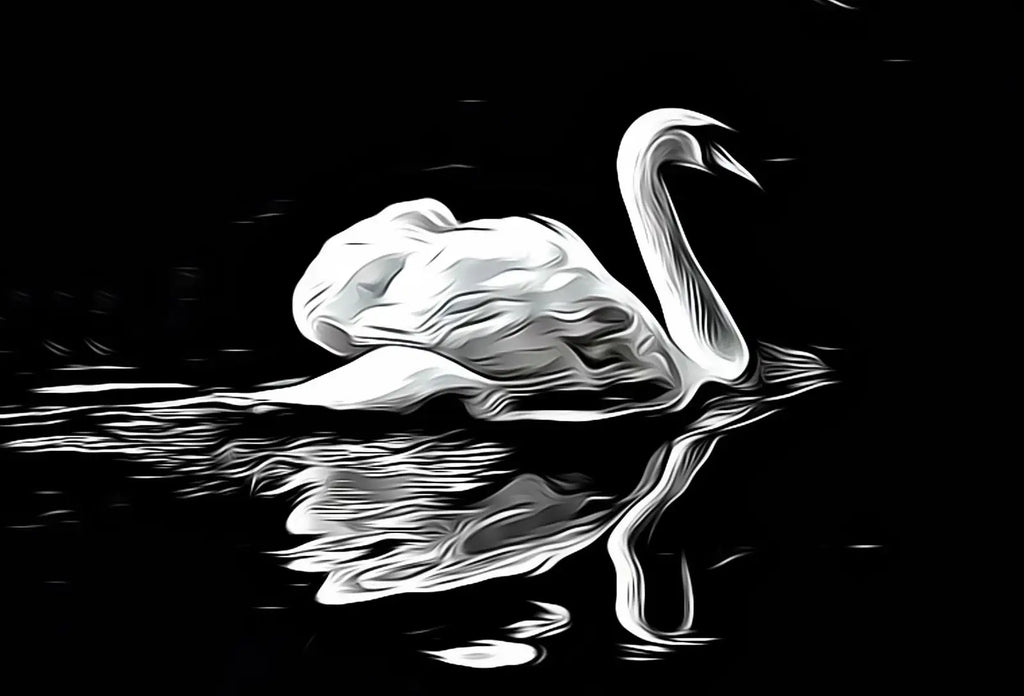 Detail view of artwork from Swan in Dark Waters Frame TV Art, Digital Download, Digital Art for Tv, Black and White Frame TV Art, Swan Painting. (variation 1)