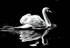 Detail view of artwork from Swan in Dark Waters Frame TV Art, Digital Download, Digital Art for Tv, Black and White Frame TV Art, Swan Painting. (variation 1)