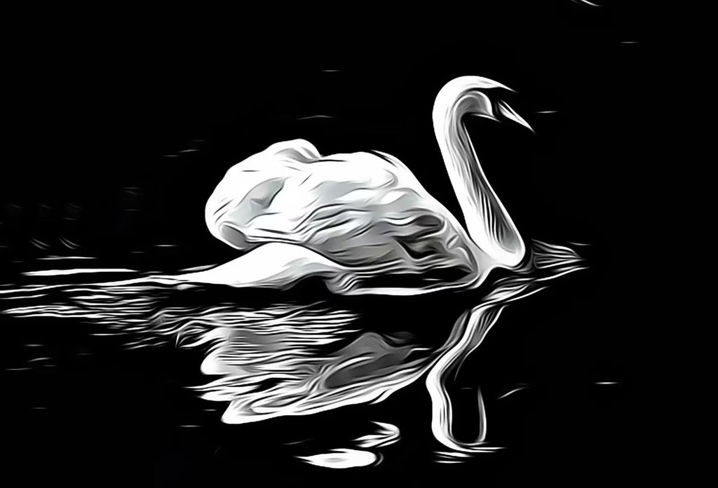 Swan in Dark Waters Frame TV Art, , Digital Art for Tv, Black and White Frame TV Art, Swan Painting – Frame TV  Art