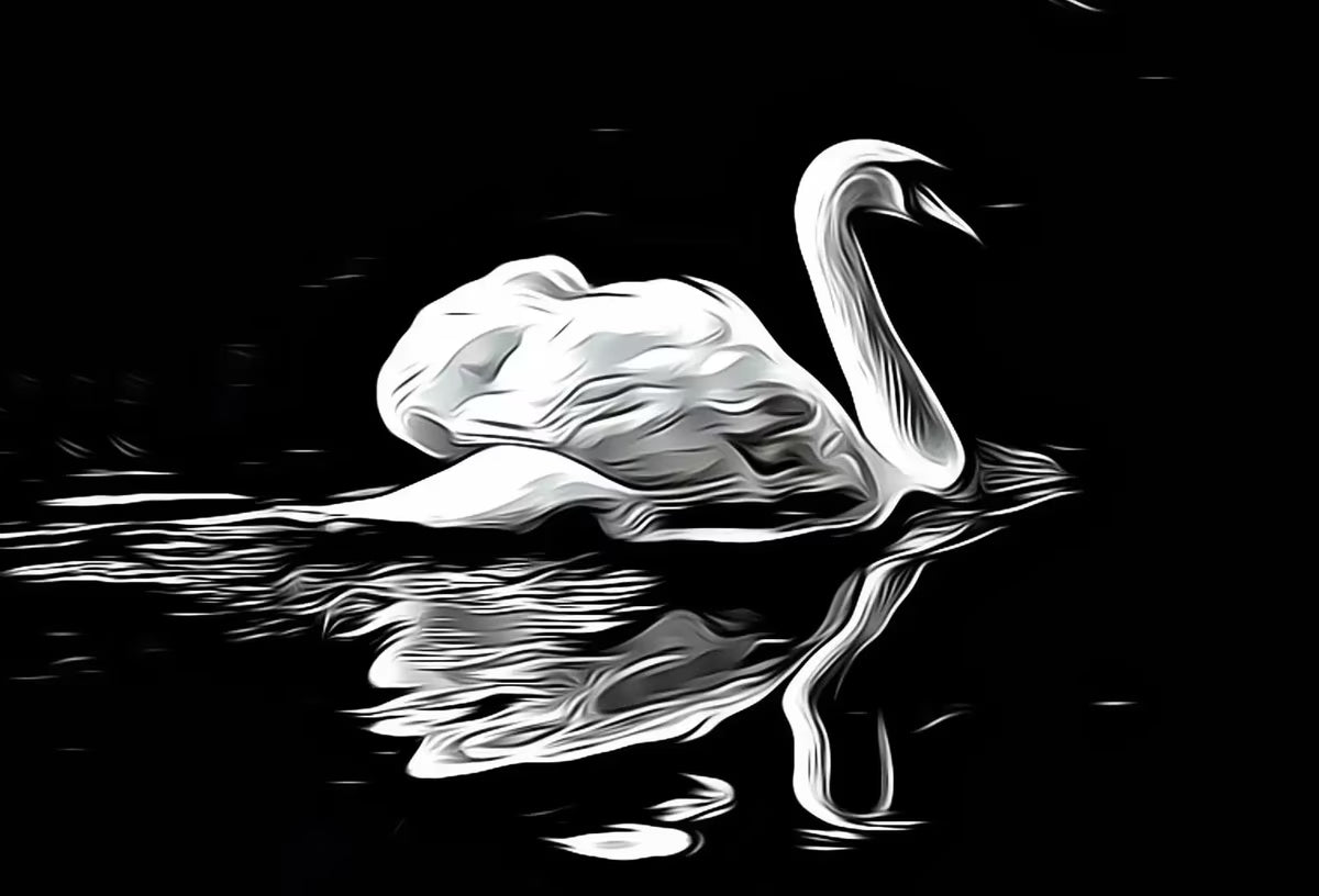 Swan in Dark Waters Frame TV Art, , Digital Art for Tv, Black and White Frame TV Art, Swan Painting – Frame TV  Art