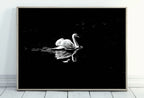 Included artwork preview showing first selection of artworks from Swan in Dark Waters Printable Wall Art, for Home or Office Decor, Animal Painting Nature Print Digital Art Instant Download, Black and White.