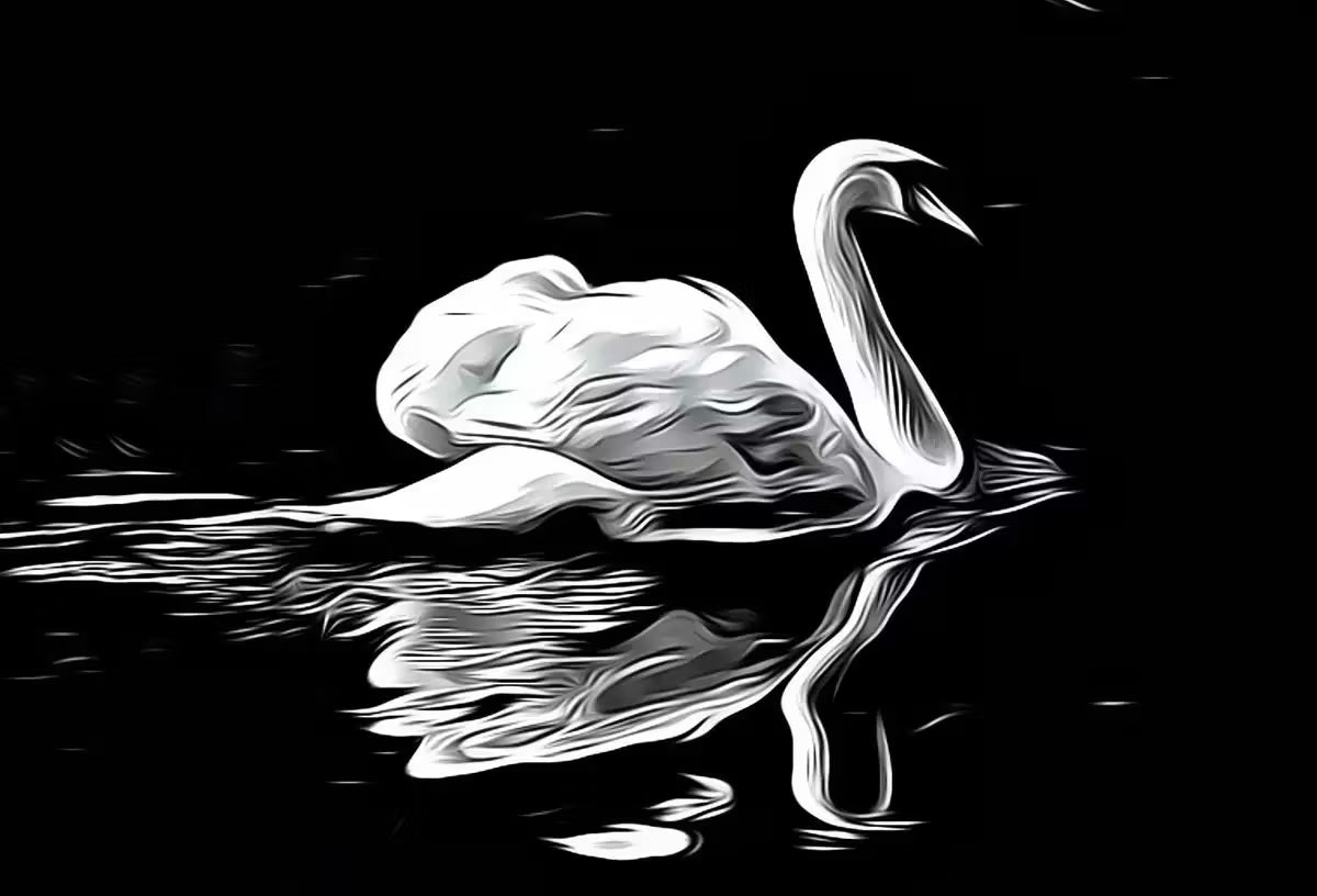Swan in Dark Waters Printable Wall Art, for Home or Office Decor, Animal Painting Nature Print Digital Art Instant Download, Black and White – Printable Wall Art