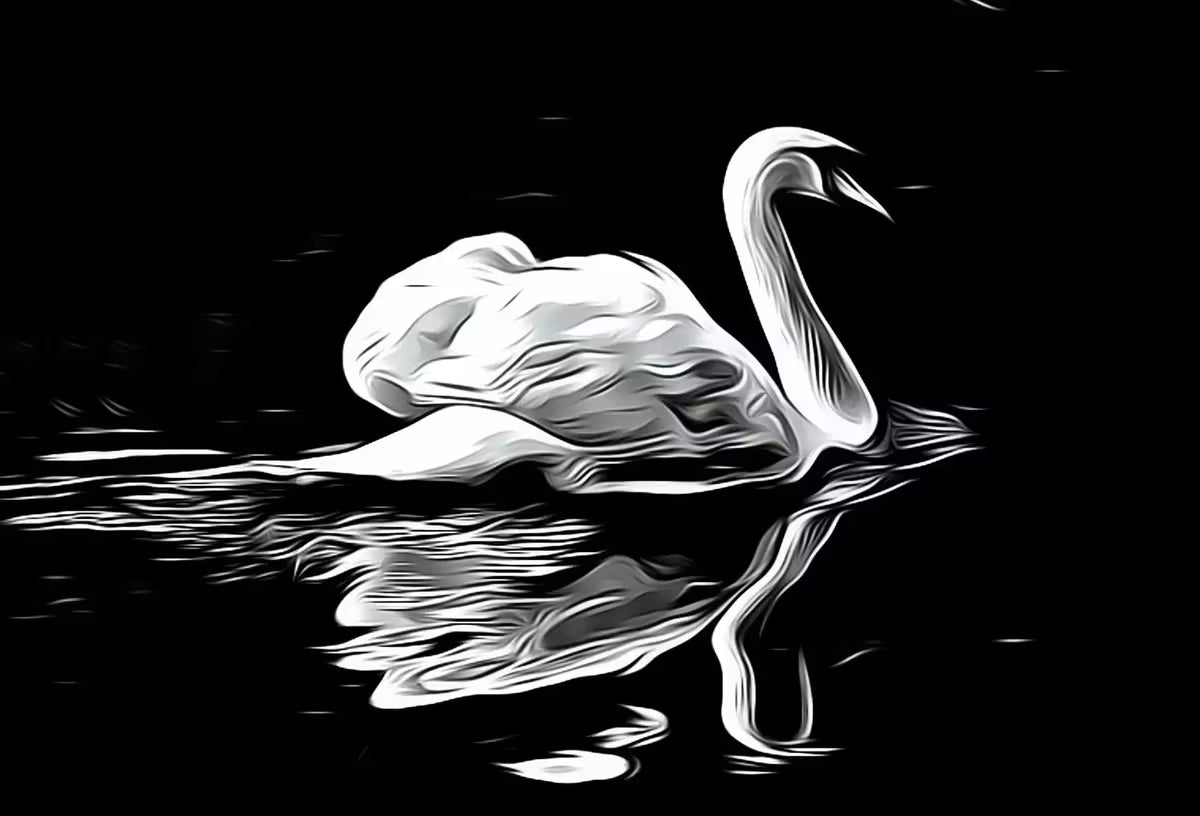 Swan in Dark Waters Vertical Printable Wall Art, Home or Office Decor, Animal Painting Nature Print Digital Art Download, Black and White – Printable Wall Art