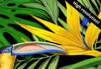 Detail view of artwork from Toucan Wall Art Print, Wildlife Nature Botanical Illustration. Bright Colorful Decor. Tropical Bird Picture. Printable Digital Download. (variation 1)
