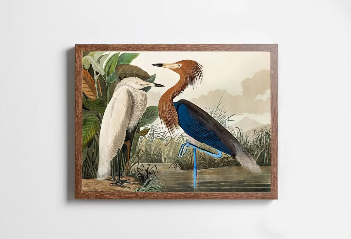 Two Herons Vintage Tropical Bird Printable Wall Art. Wildlife Nature Colorful Tropical Decor. Instant Download. Bird Poster Art Print – Printable Wall Art