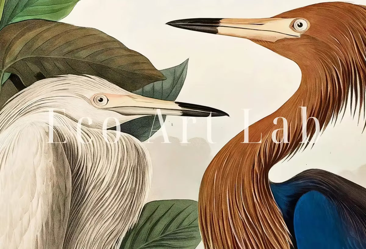 Two Herons Vintage Tropical Bird Printable Wall Art. Wildlife Nature Colorful Tropical Decor. Instant Download. Bird Poster Art Print – Printable Wall Art