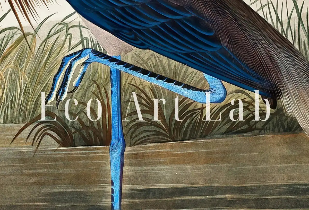 Detail view of artwork from Two Herons Vintage Tropical Bird Printable Wall Art. Wildlife Nature Colorful Tropical Decor. Instant Download. Bird Poster Art Print. (variation 2)