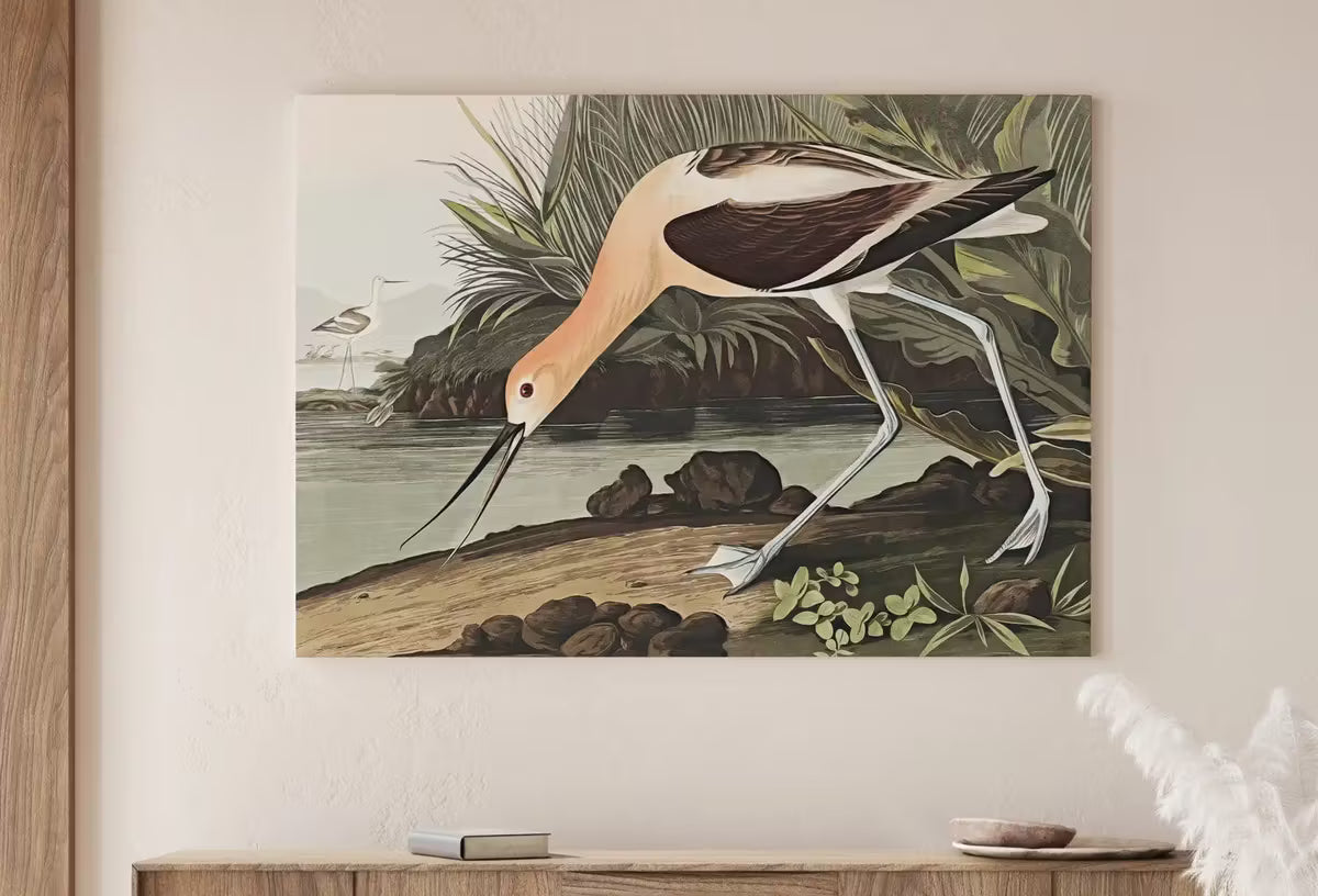 Vintage American Avocet Exotic Bird Printable Wall Art. Wildlife Nature Colorful Tropical Decor. Instant Download. Bird Poster Art Print – Printable Wall Art