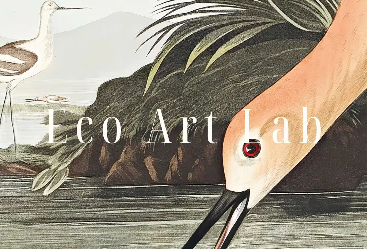 Vintage American Avocet Exotic Bird Printable Wall Art. Wildlife Nature Colorful Tropical Decor. Instant Download. Bird Poster Art Print – Printable Wall Art