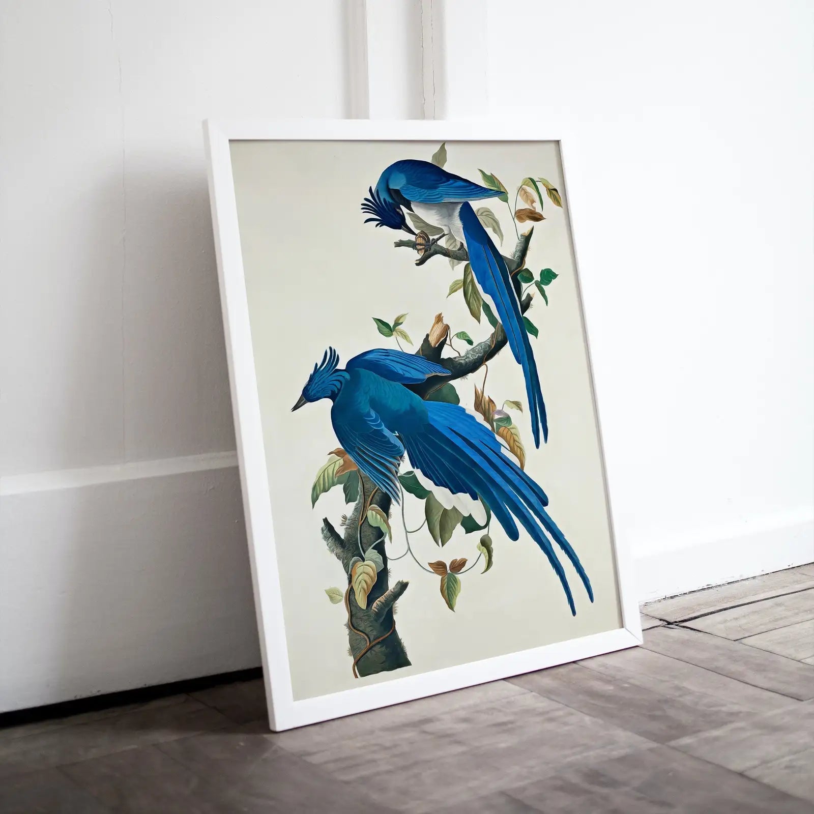Oiseaux bleus Geais sur une branche. Peinture imprimable. Décoration murale d’oiseaux. Affiches d’art mural. Poster d’oiseaux.