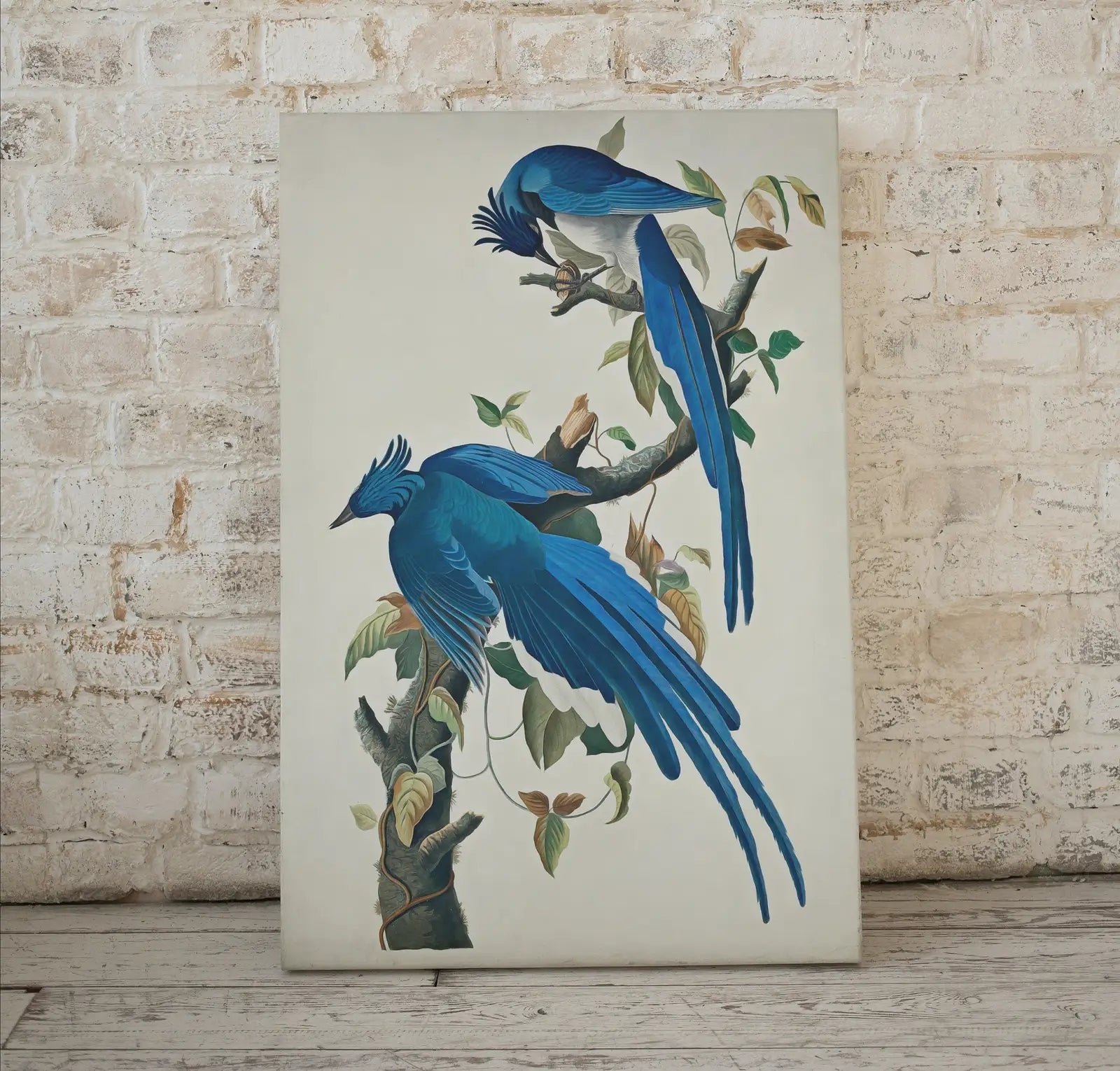 Oiseaux bleus Geais sur une branche. Peinture imprimable. Décoration murale d’oiseaux. Affiches d’art mural. Poster d’oiseaux.