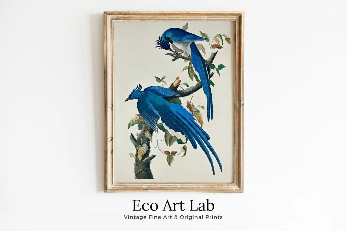 Framed view of Vintage Birds Blue Jays on Branch Painting. Instant Download Printable Wall Art. Bird Painting. Birds Decor Wall Art Prints. Birds Poster – printable wall art digital download.