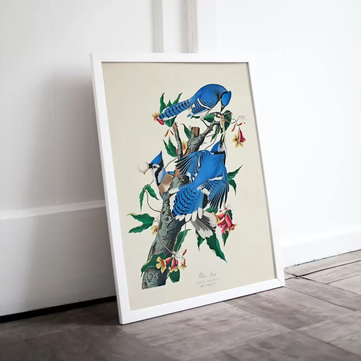 Vintage Birds Blue Jays on Branch with Flowers Painting. Instant Download Printable Wall Art. Bird Painting. Wall Art Prints. Birds Poster – Printable Wall Art