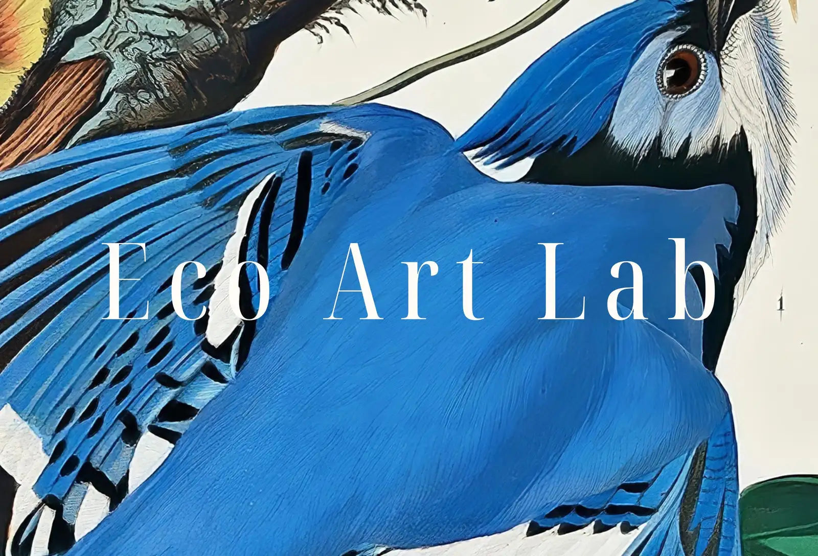 Vintage Birds Blue Jays on Branch with Flowers Painting. Instant Download Printable Wall Art. Bird Painting. Wall Art Prints. Birds Poster – Printable Wall Art Digital Download